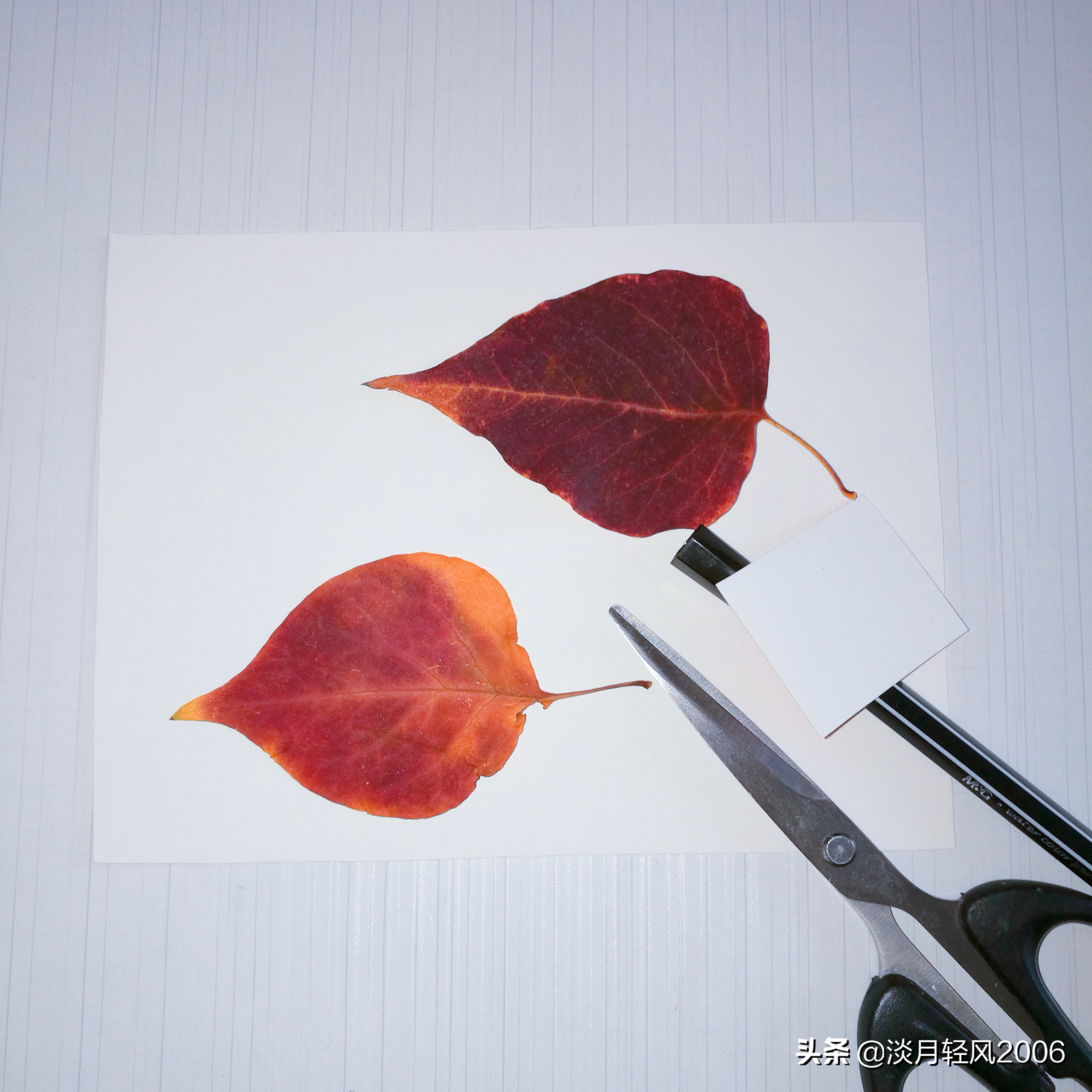 幼儿园冬季手工老鼠贴画,树叶贴画简单又好看老鼠