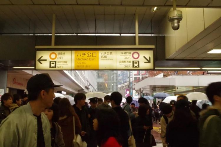 日本药妆店的坑,日本药妆店现在怎么样了