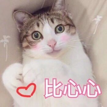 回购一百次！超好用的平价美白精华，谁说便宜没好货！