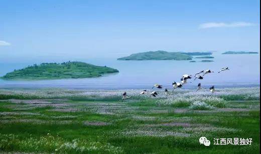 女神节礼物正在配送,江西明月山女神节免票活动开启