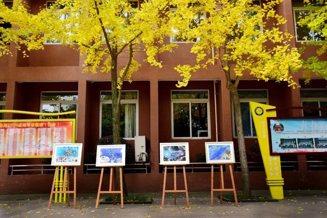 科大实验属于哪个档次的,科大实验哪个班是好班