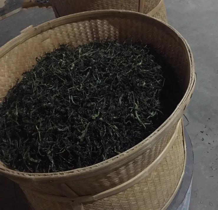 非遗政和白茶技术,非遗乌龙茶制作技艺