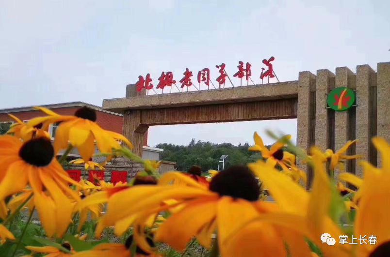 好事成双！拿长春消费券游莲花山，有折扣有套餐！