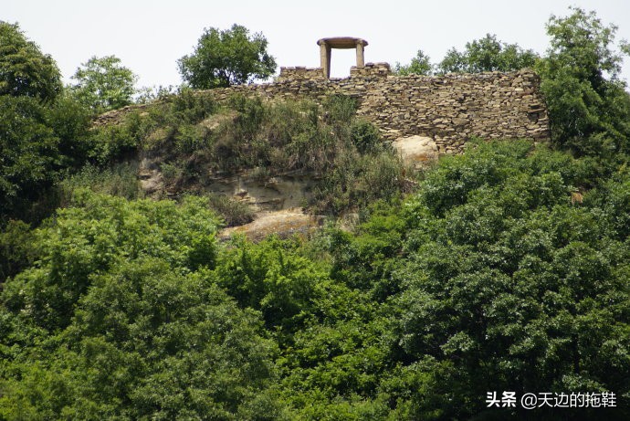 陕西的大蛤蟆,最大癞蛤蟆吃天鹅肉