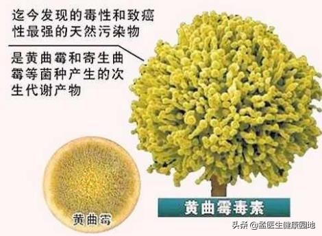 肿瘤“加速器”不止烟酒，一旦身体出现“1黑1肿”最好查下CT