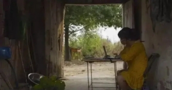 一个丑到瘫，一个美若仙，为何都能“火”？