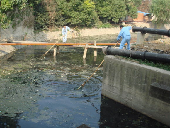 上海的黄浦江有多脏,上海的河道为什么那么臭