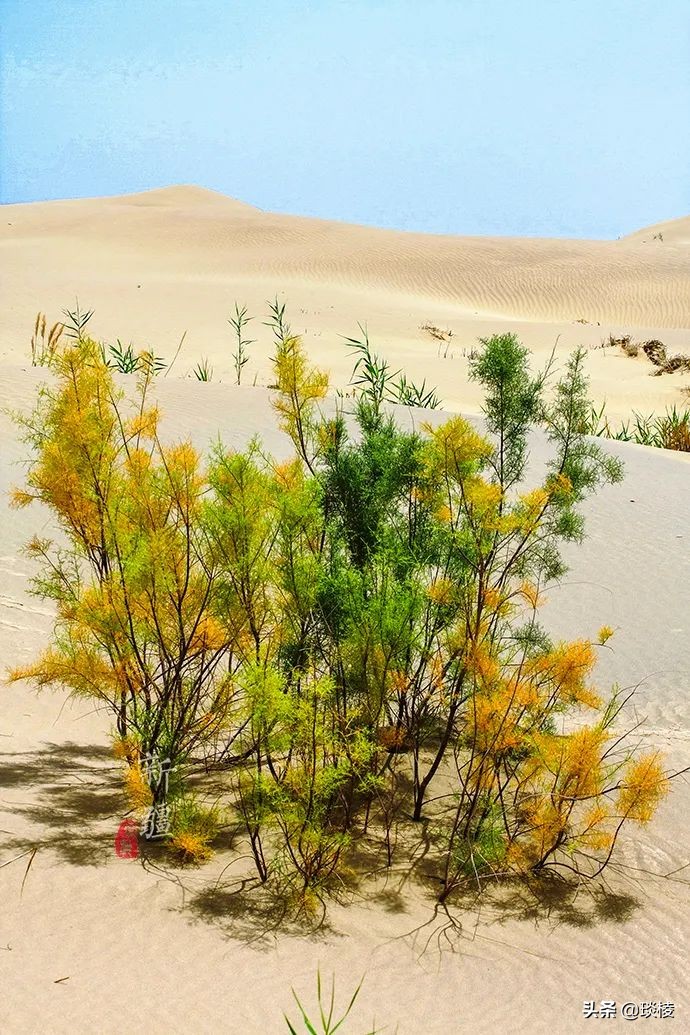 中国66号公路旅游攻略,中国自驾游66条经典线路