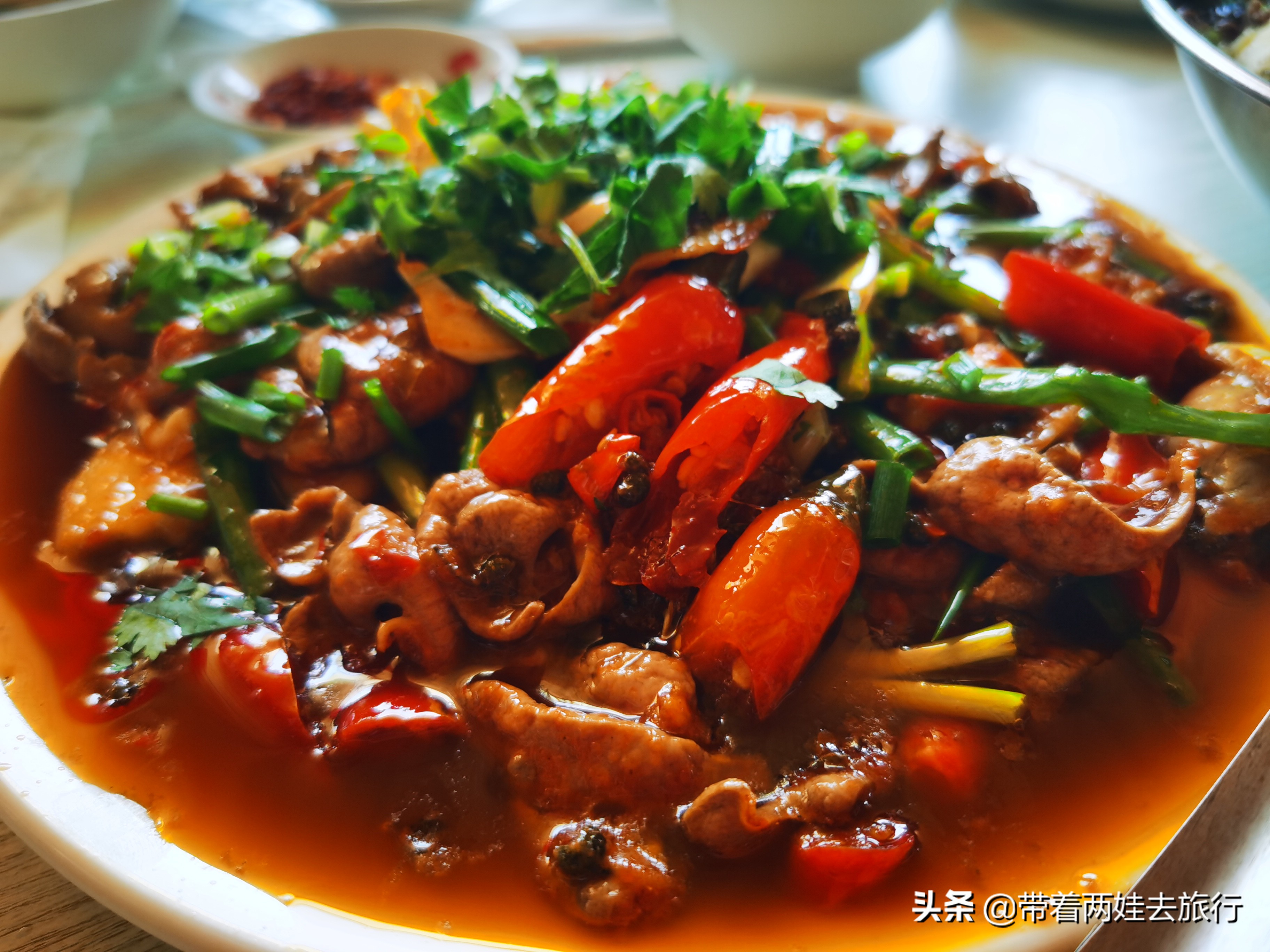 美丽的四川天府之国成都盆地,美丽的四川让人沉醉