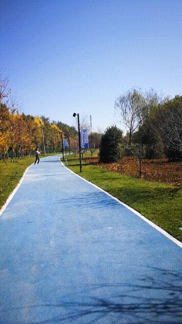 廊坊三叶公园项目信息,廊坊三叶公园附近