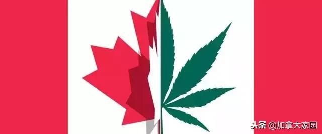 中国女留学生吸“笑气”成瘾：一年花十几万，瘫痪，坐轮椅回国！