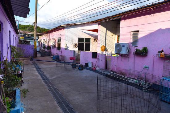 专门培训狗狗,狗狗训练中心培训基地训狗