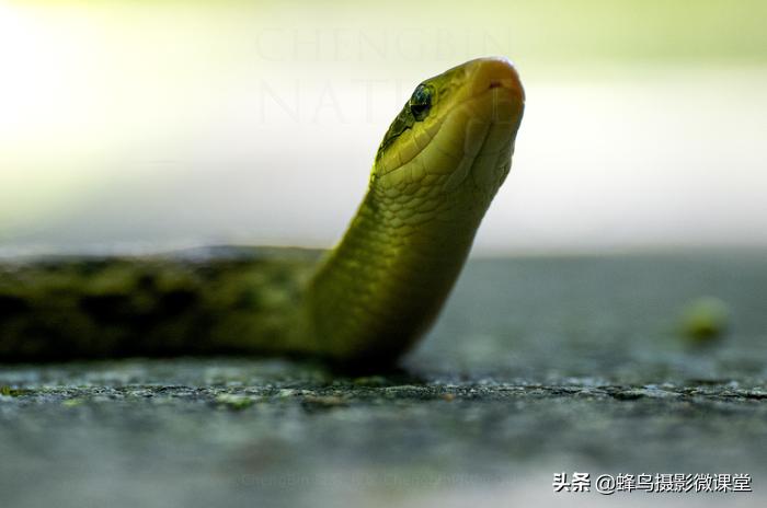 松下全画幅微单s1评测,松下s1全画幅微单拍摄视频