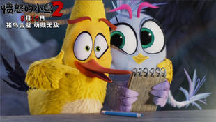 光头可以带来好运吗,光头可以拯救票房吗