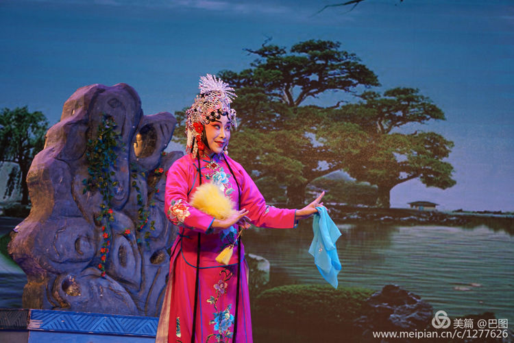 曲剧花为媒经典唱段全场,曲剧花为媒报花名完整唱段