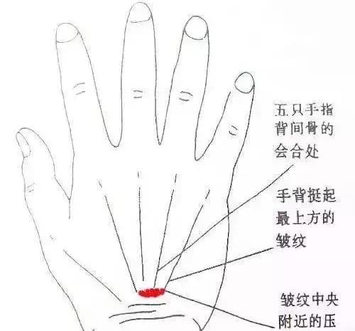 手脚冰冷？背部生寒？胃痛腹泻？该如何调理（附原因及治疗方法）