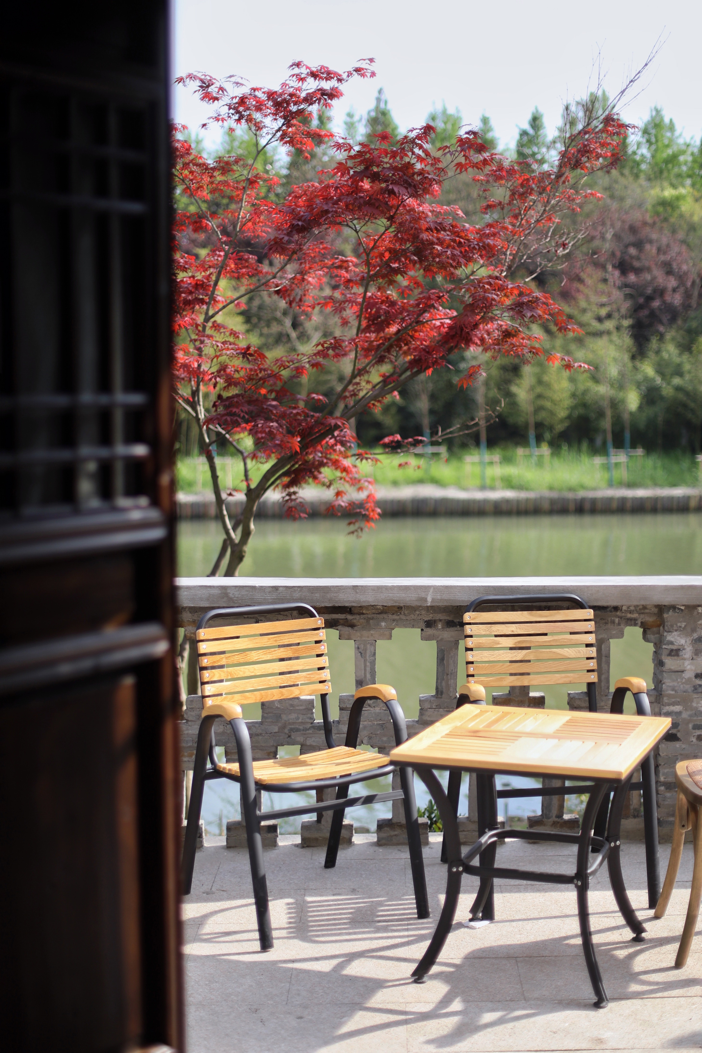 常熟沙家浜一日游结束,常熟水上花田沙家浜