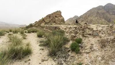 九层妖塔墓葬考古细节披露,九层妖塔真实发掘