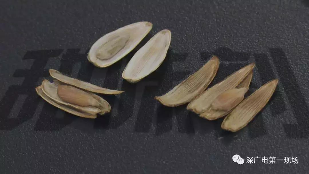 年货买瓜子有讲究！这些加了“料”的瓜子不安全！