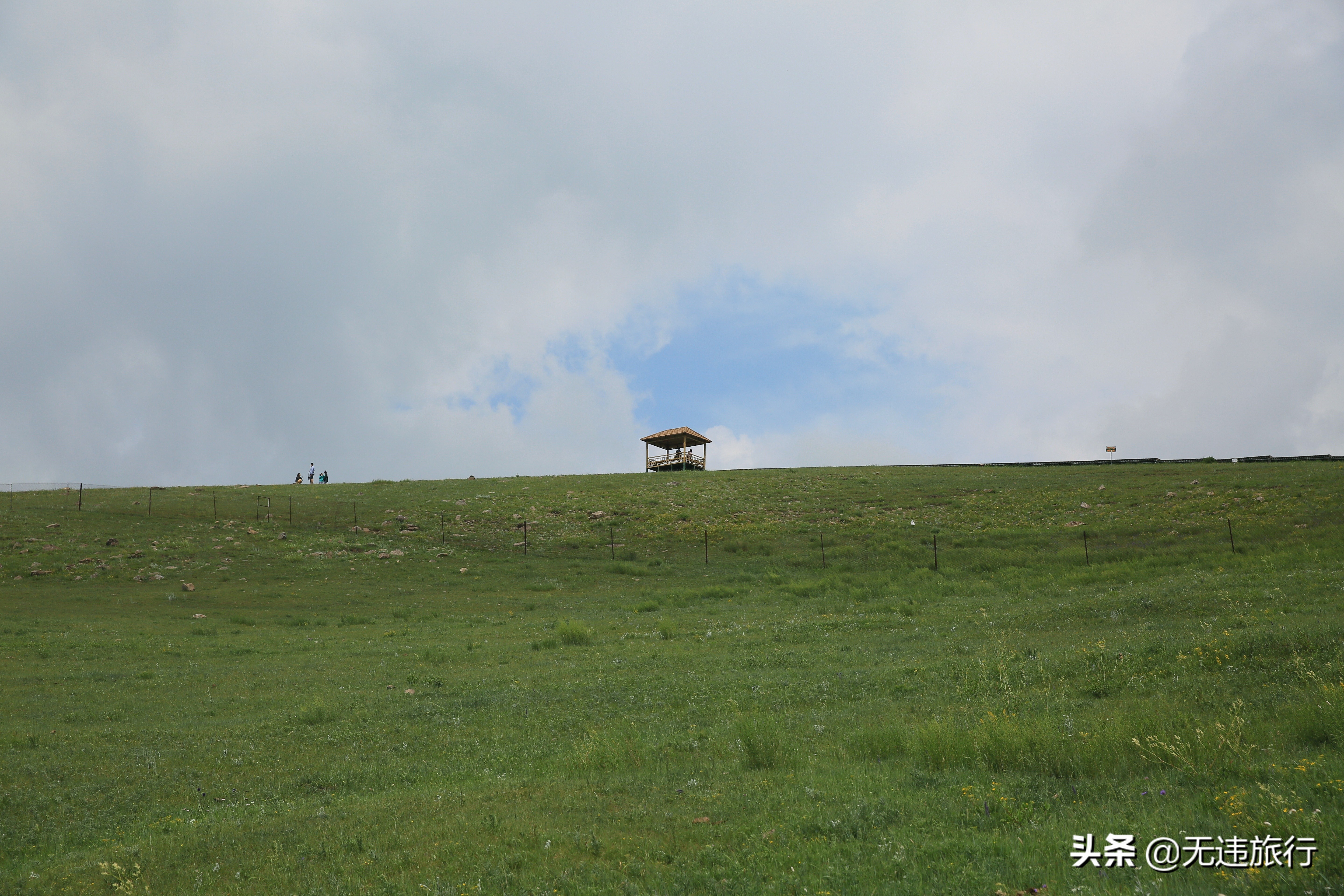 辉腾锡勒草原黄花沟游玩时长,辉腾锡勒草原黄花沟见闻
