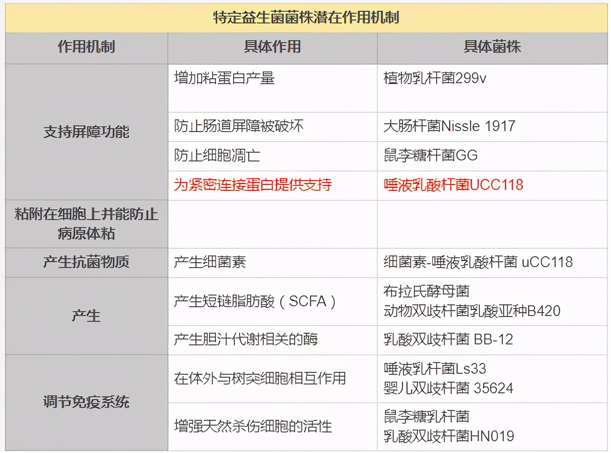 益生菌那么多，不同菌种效果各异，看看功能医学是如何指导使用