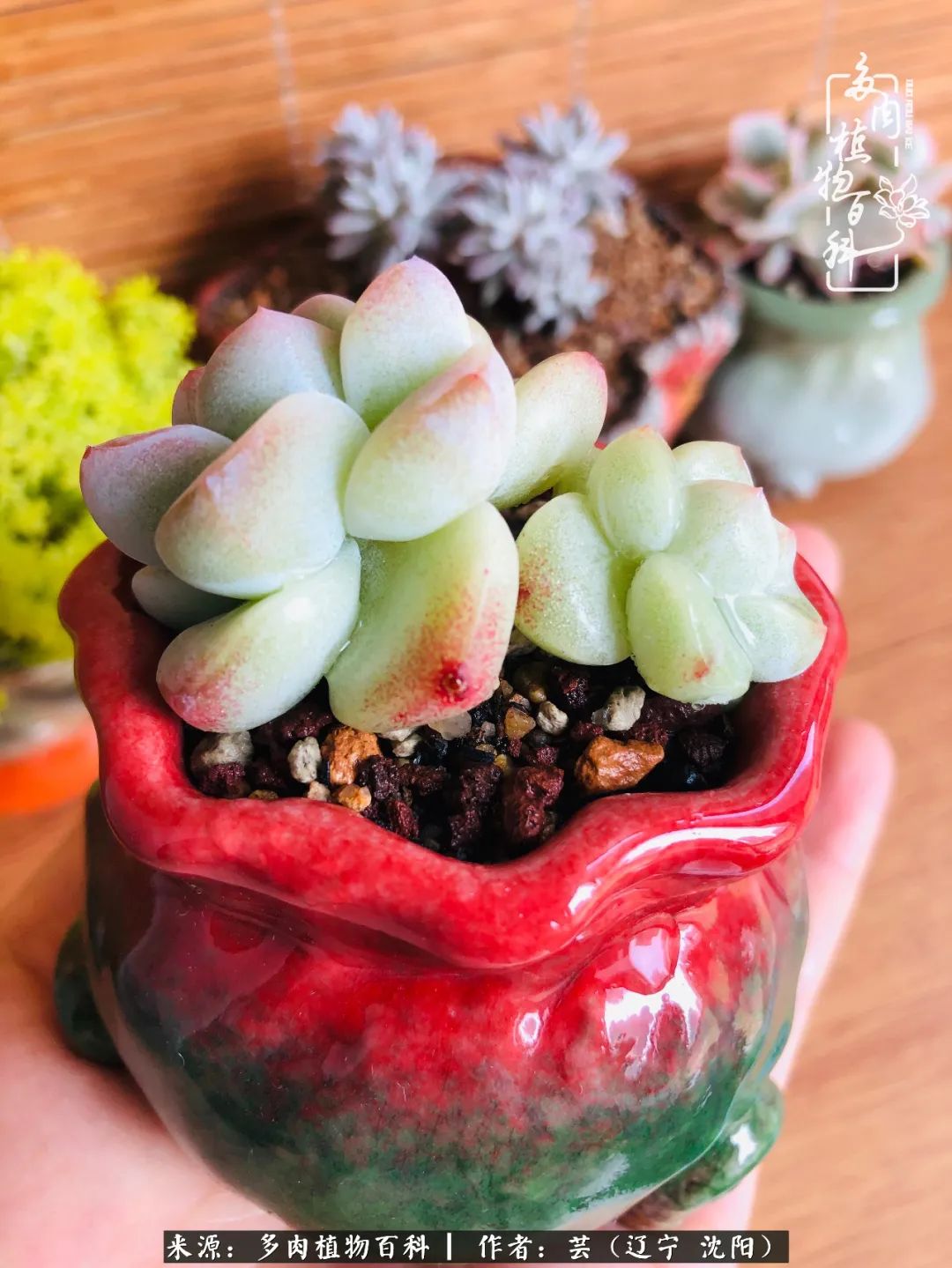 万物皆有灵性有因必有果,万物皆有灵性与生命