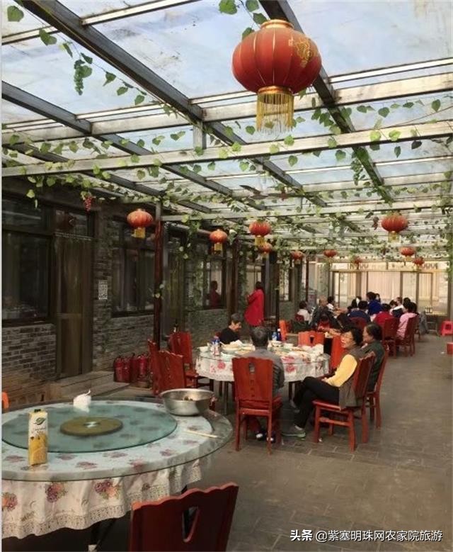 梨木台景林农家院,梨木台景林农家院直播