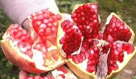 疫情过后一起去吃遍美食,疫情中的美食攻略