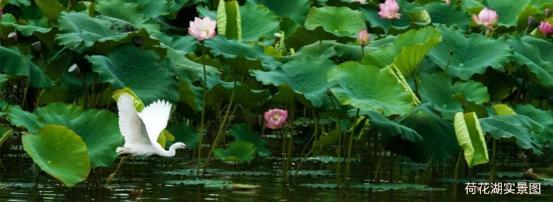 昆明嘉丽泽恒大养生谷,昆明嘉丽泽恒大养生谷楼盘现状