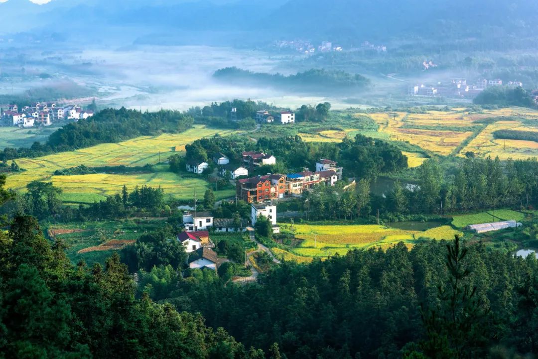 走向我们的小康生活微电影,走向我们的小康生活中国画