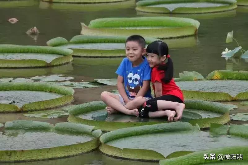 广西最好避暑的县城,广西那边热吗