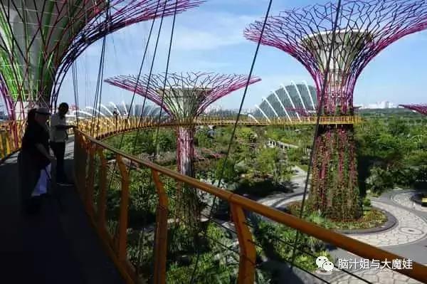 新加坡马来西亚泰国旅游攻略,新加坡马来西亚四日游攻略