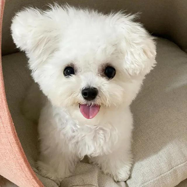 拿什么方式减压,有什么最好的减压方法