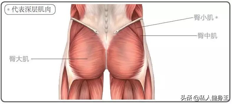 健身小器械训练法，这套计划针对臀部训练，在家也能拯救扁平臀