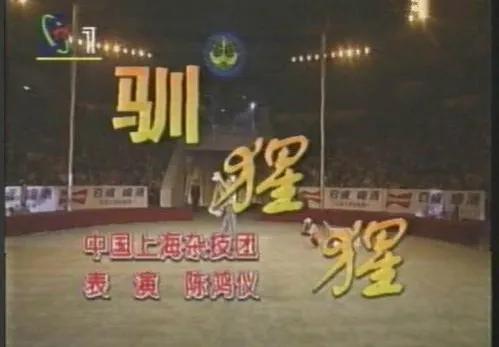 请回答1997综艺,请回答1988解说全集