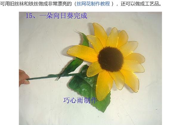 袜子的知识大全,关于袜子你不知道的冷知识