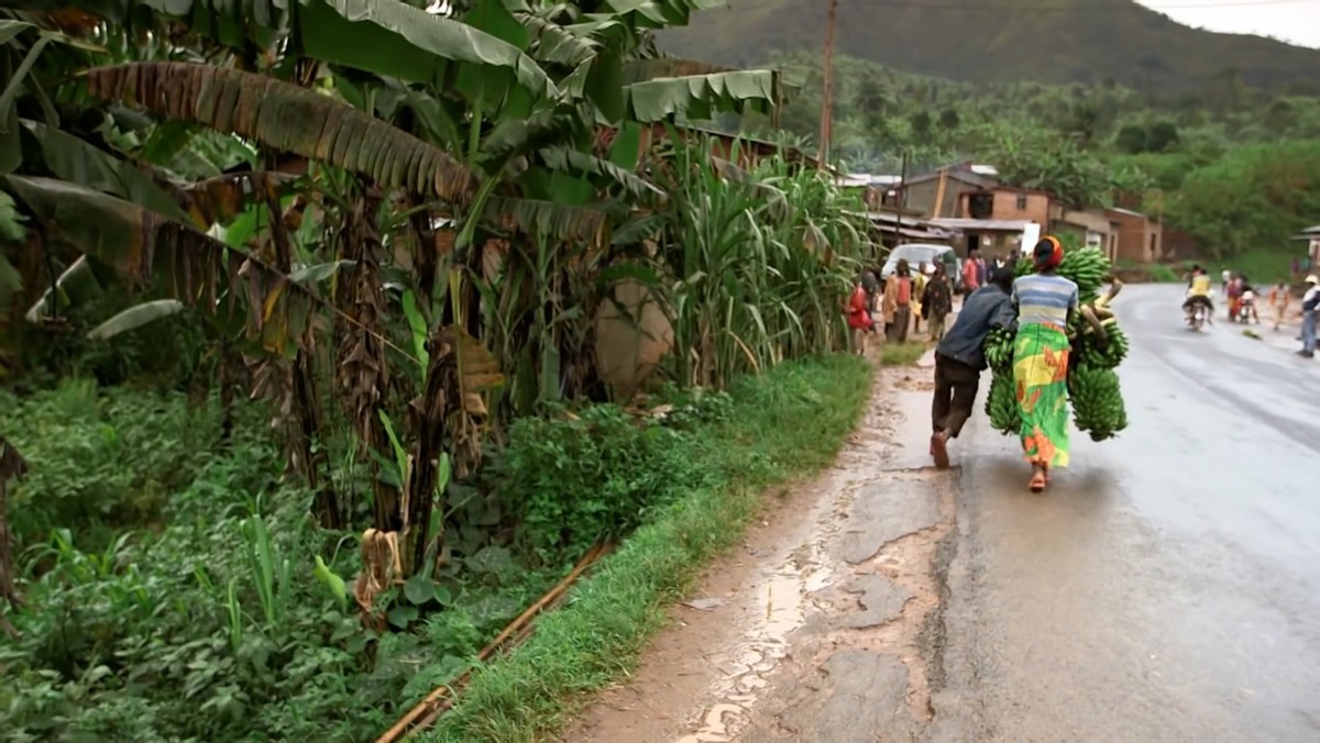 非洲布隆迪的赚钱天才,骑着自行车运香蕉扒车门,满身绝活无人敌