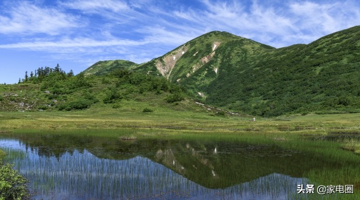 格兰仕要约收购惠而浦怎么看,惠而浦会收购格兰仕吗