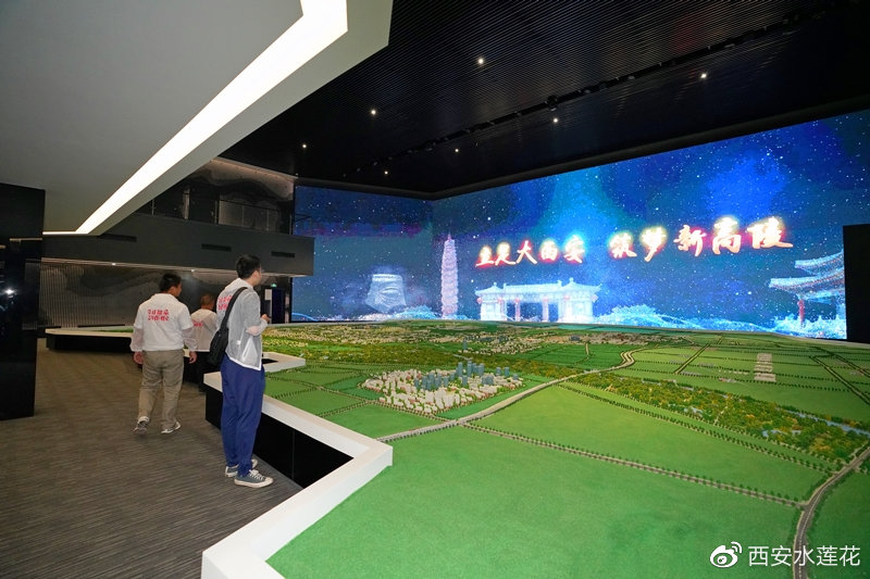 原来你是这样的西安,原来你是这样的人大代表