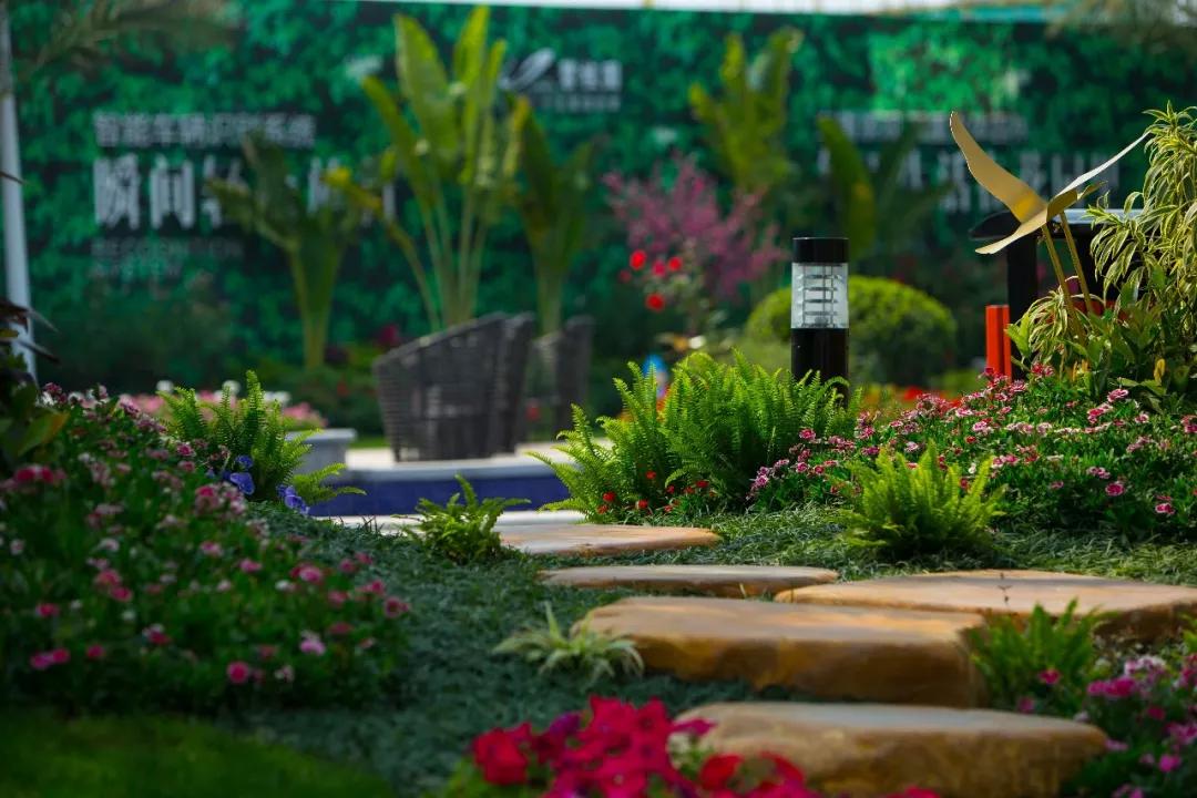 泰州硬核,太硬核了原视频