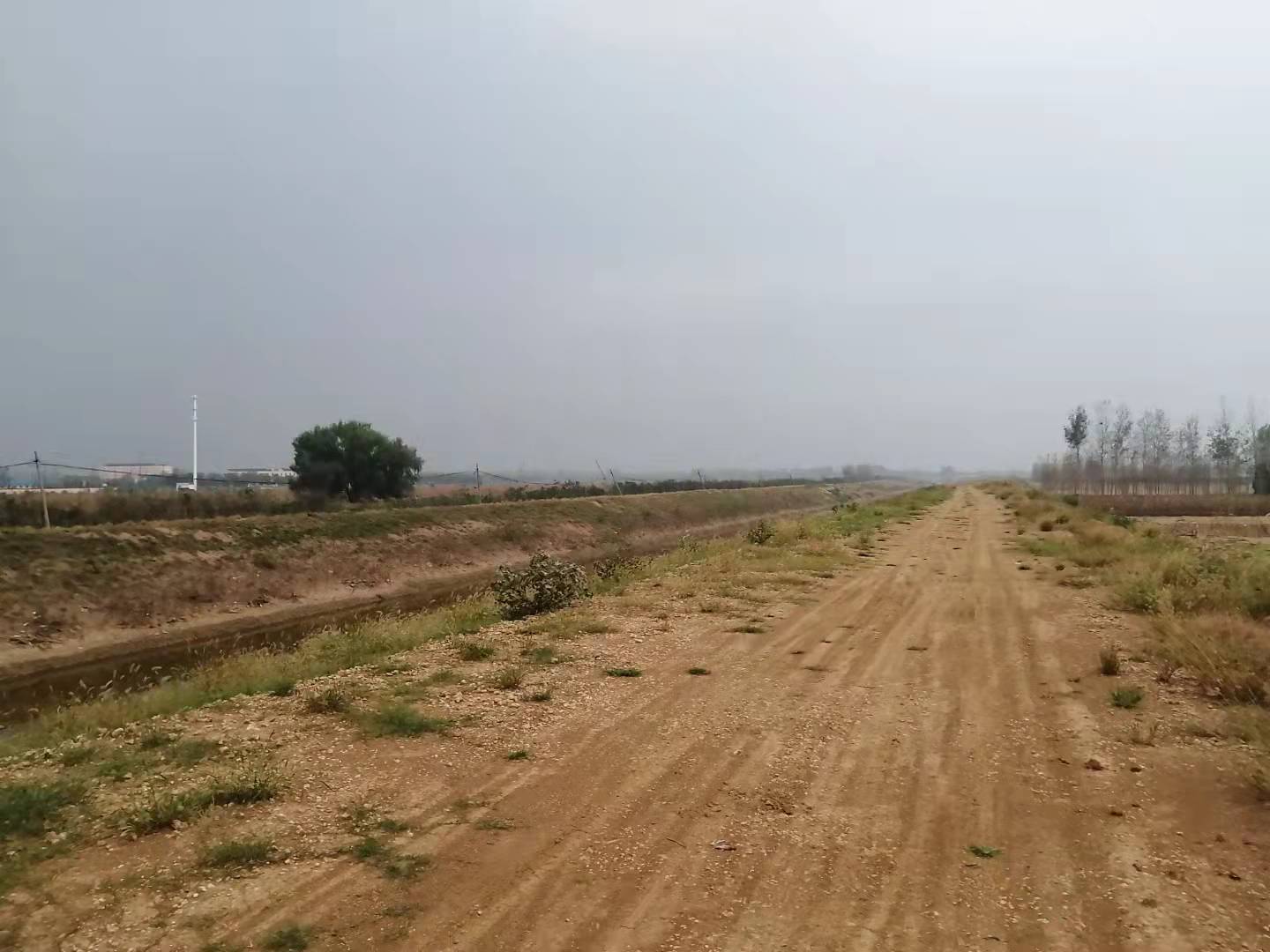 思乡不归乡的人,思乡却不知乡在何处