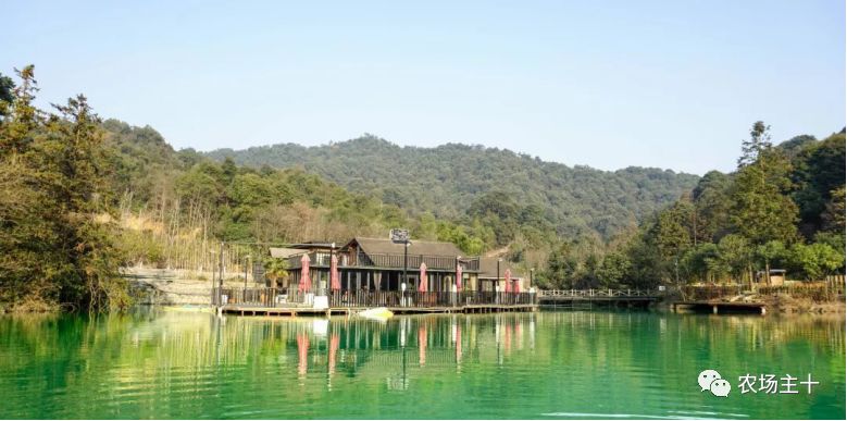 特色集装箱农场,集装箱打造农场建筑