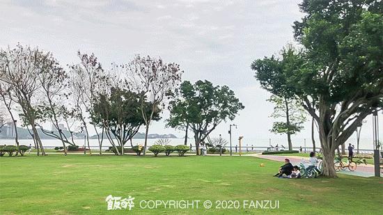 珠海最好的旅游攻略最新,珠海十大绝美夜景