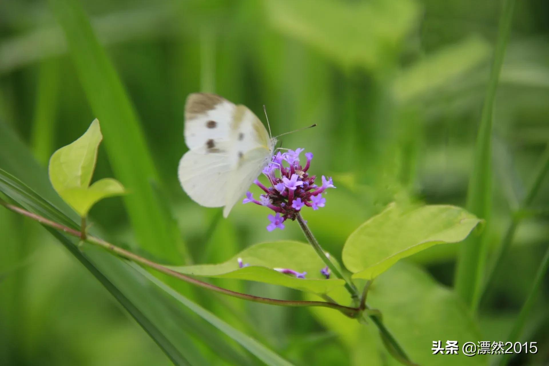 生日回想前面的日子,生日的独白