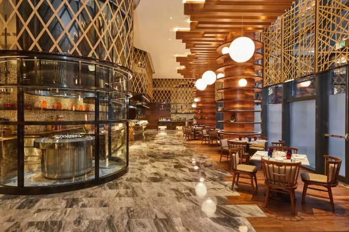 海滨老城泡桐花 (海滨老城紫色泡桐花)