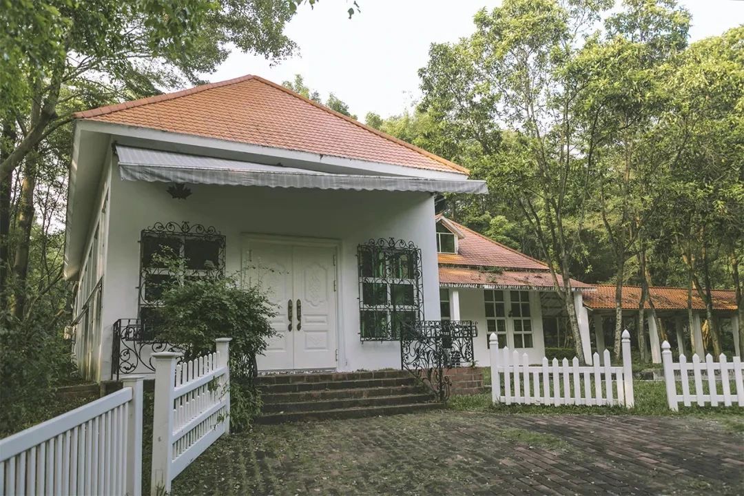 深圳周边自驾游一日游景点推荐,深圳30人报团一日游有什么景点