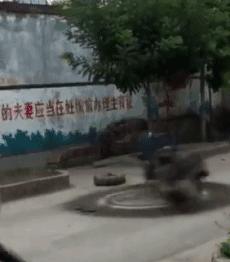 搞笑gif妹子你确定不是来搞笑的,搞笑gif妹子这手速老厉害了