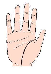 手相解密,手相掌纹分析学