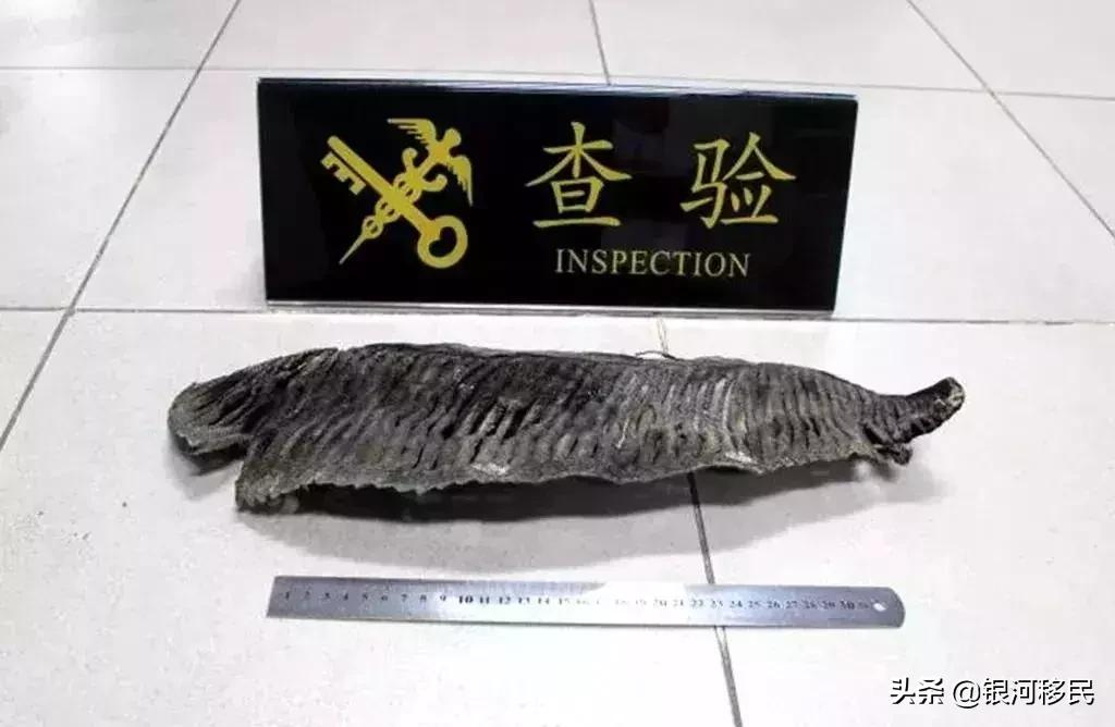 最新香港出入境携带物品规定一览,去香港超过7天了罚款吗