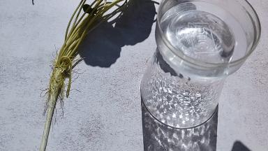 如何正确挑选适合自己的洗发水,如何选择一款正确的洗发水